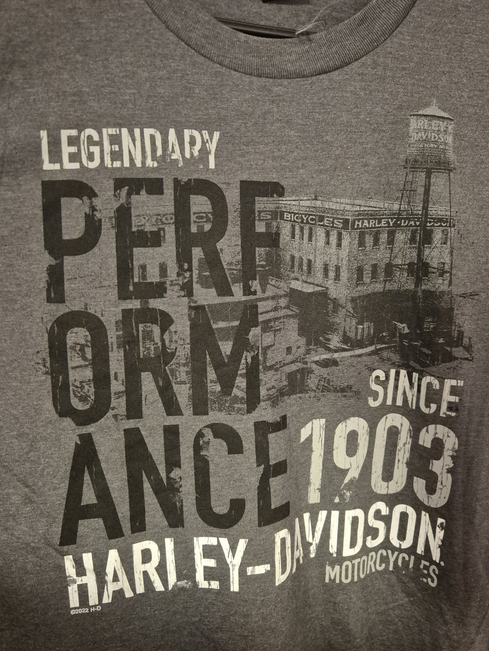 Harley-Davidson Larrge Gray Graphic Short Sleeve Tee